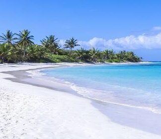 Picture of a white sand blue water Puerto Rico Beach with palm trees in the background cheap trips puerto rico