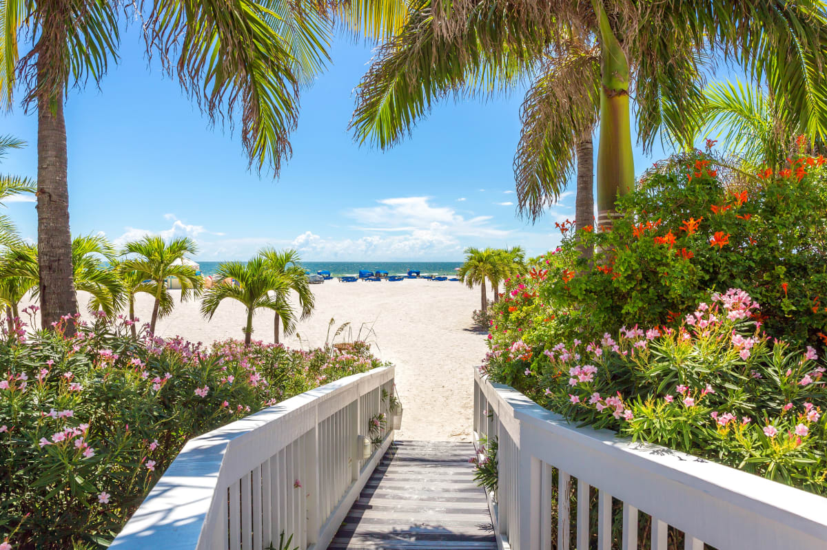 Walking down wooden beach path to orlando beach surrounded my lush greens and palms on both sides