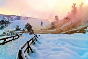 snow shoe yellowstone national park in the winter time