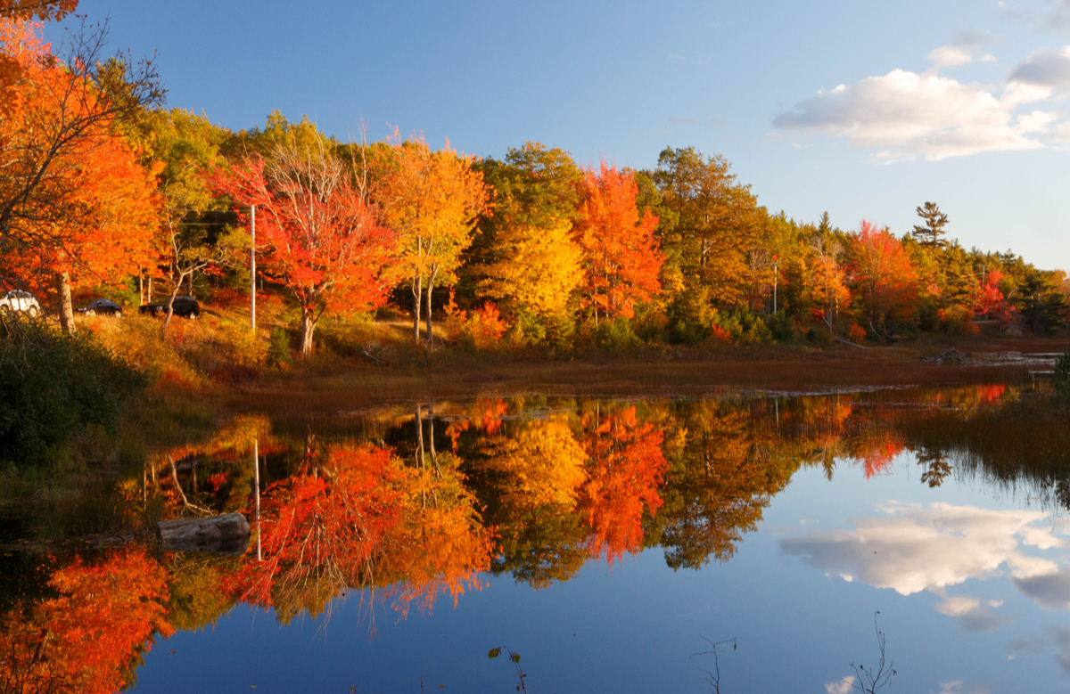 acadia national park looking out over lake with trees in fall full color reds and orange