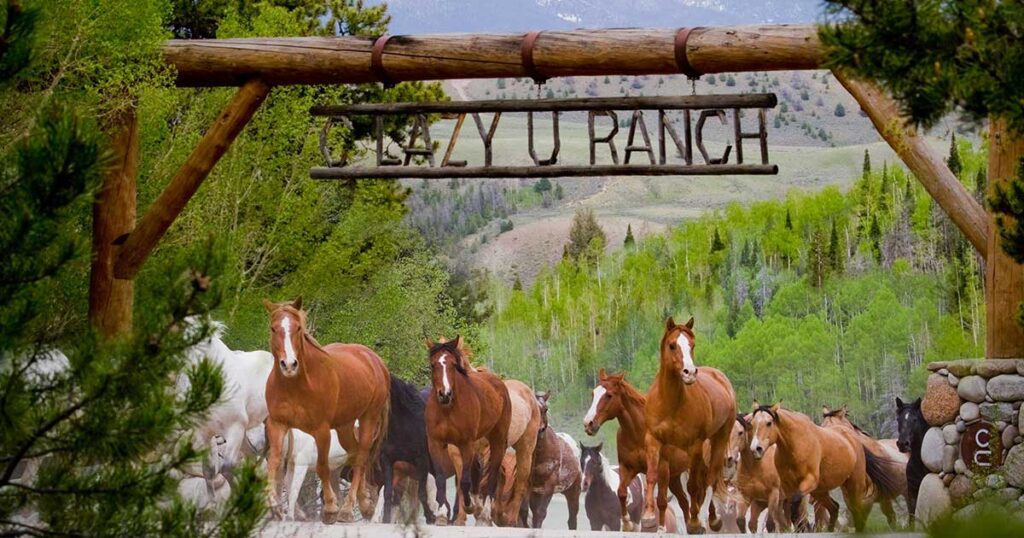 c-lazy-u-ranch-horses running out through the front gate