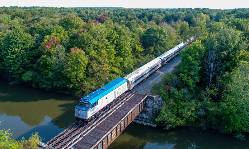 The downeater scenic rail train