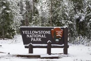 Yellowstone national park sign covered in snow in the winter time