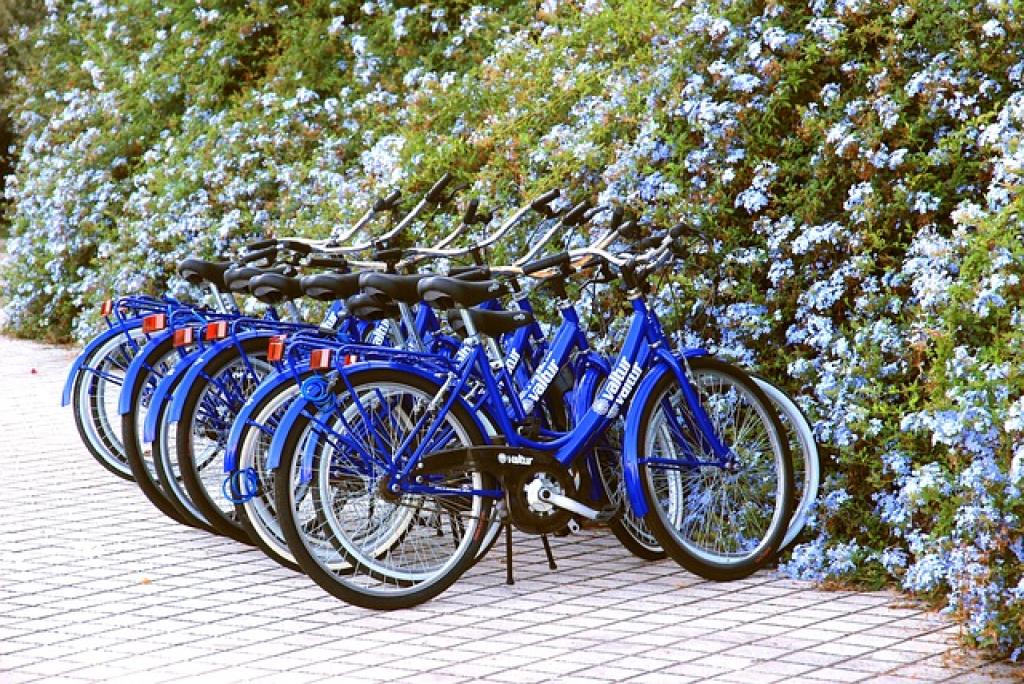 Travel Transportation Tips: Bike Rentals – Why Are They Sitting Everywhere and Why You Should Try It