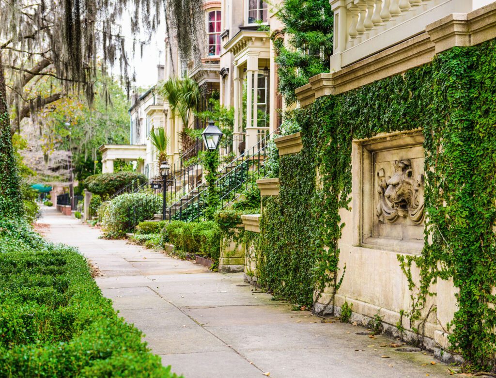 Savannah Georgia souther charm lovely creeping ivy historic distric