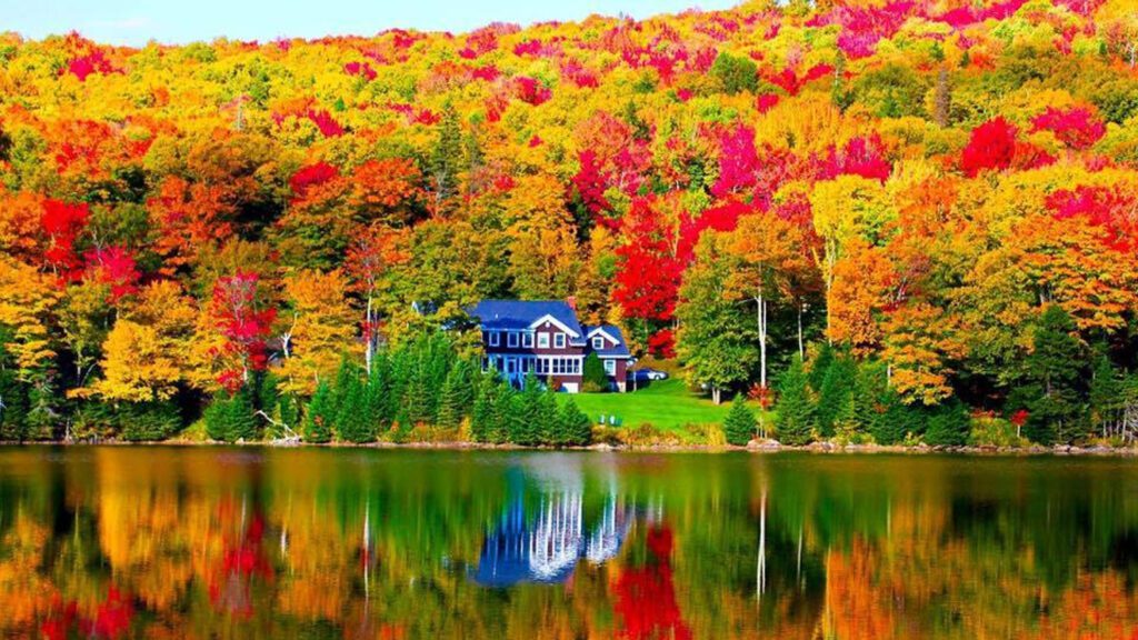 maine fall foliage best fall travel destination